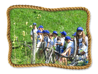 Passeggiata in montagna con la scuola